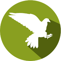 taube icon